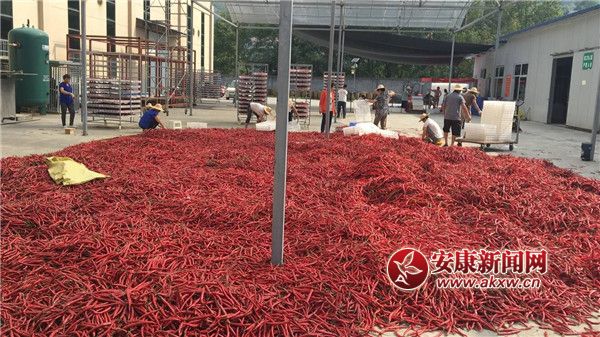 ttĮa(chn)I(y).jpg