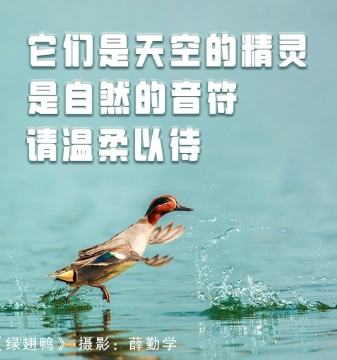 յľ` Ȼ Ո(qng)Դ