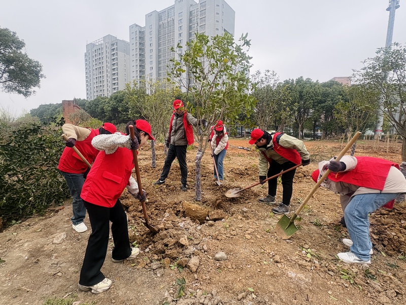 1773881915928005.jpg cd03f59e1d668512bb8d46808dedbea9_1773388927701539.jpg